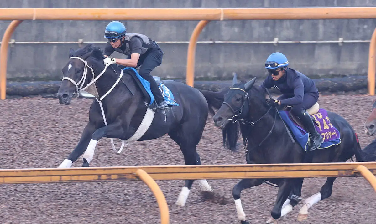 【京都大賞典】ディープボンド　反応鋭く1F11秒2　幸は納得「息遣い問題ない」