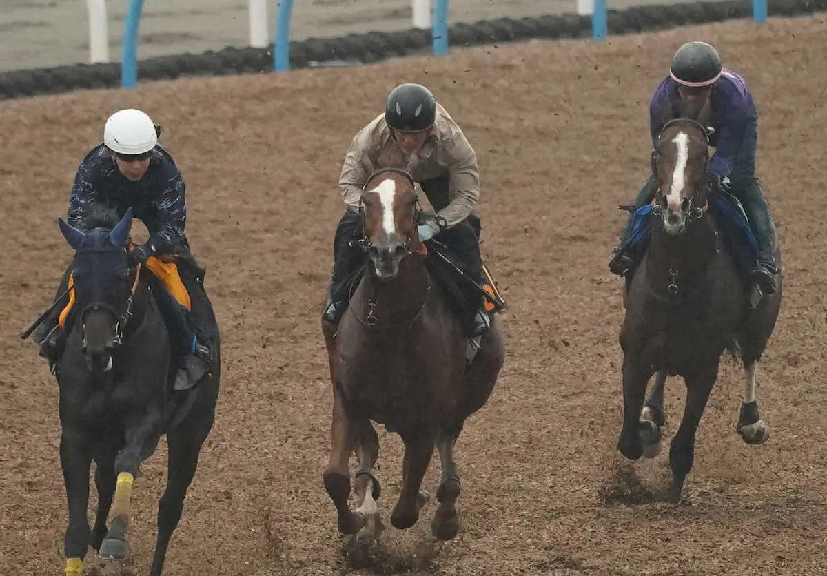 【毎日王冠】ローシャムパーク　馬なりで加速！田中博師「リズムは整っている。良い動き」