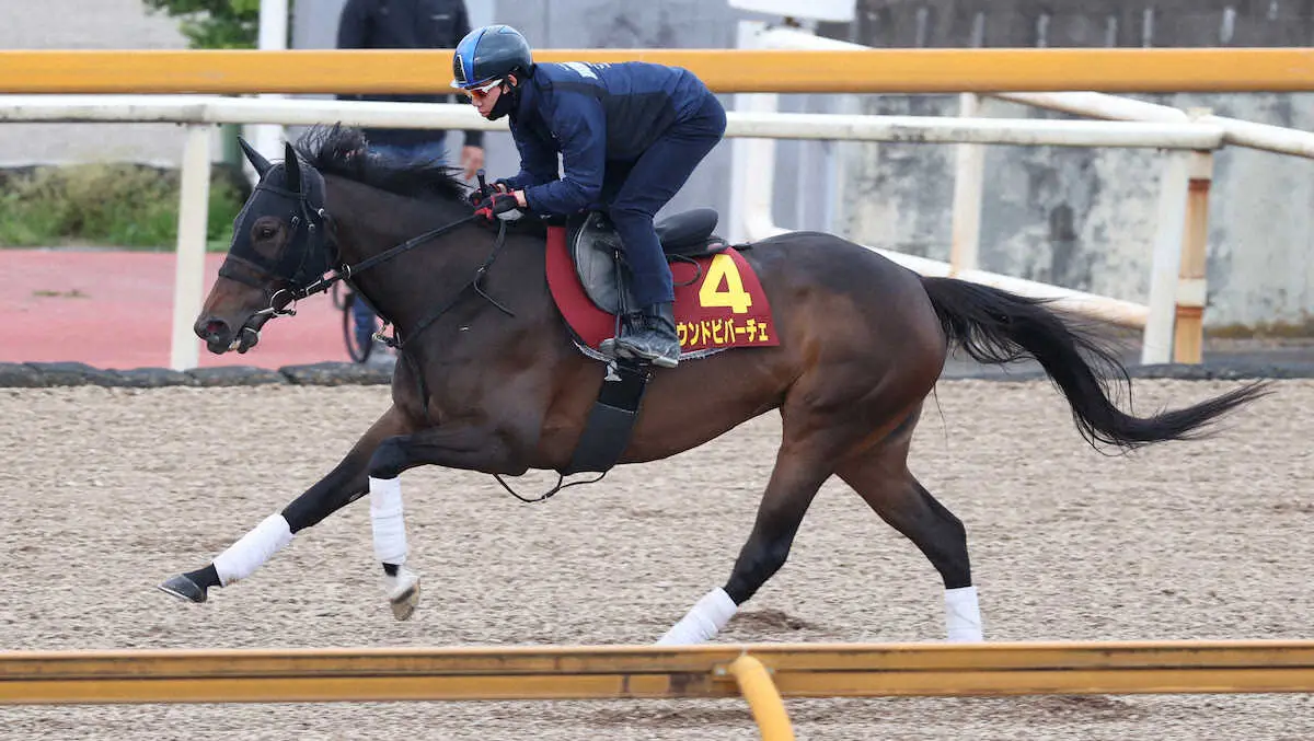 昨年の阪神牝馬S覇者サウンドビバーチェが引退、繁殖入り