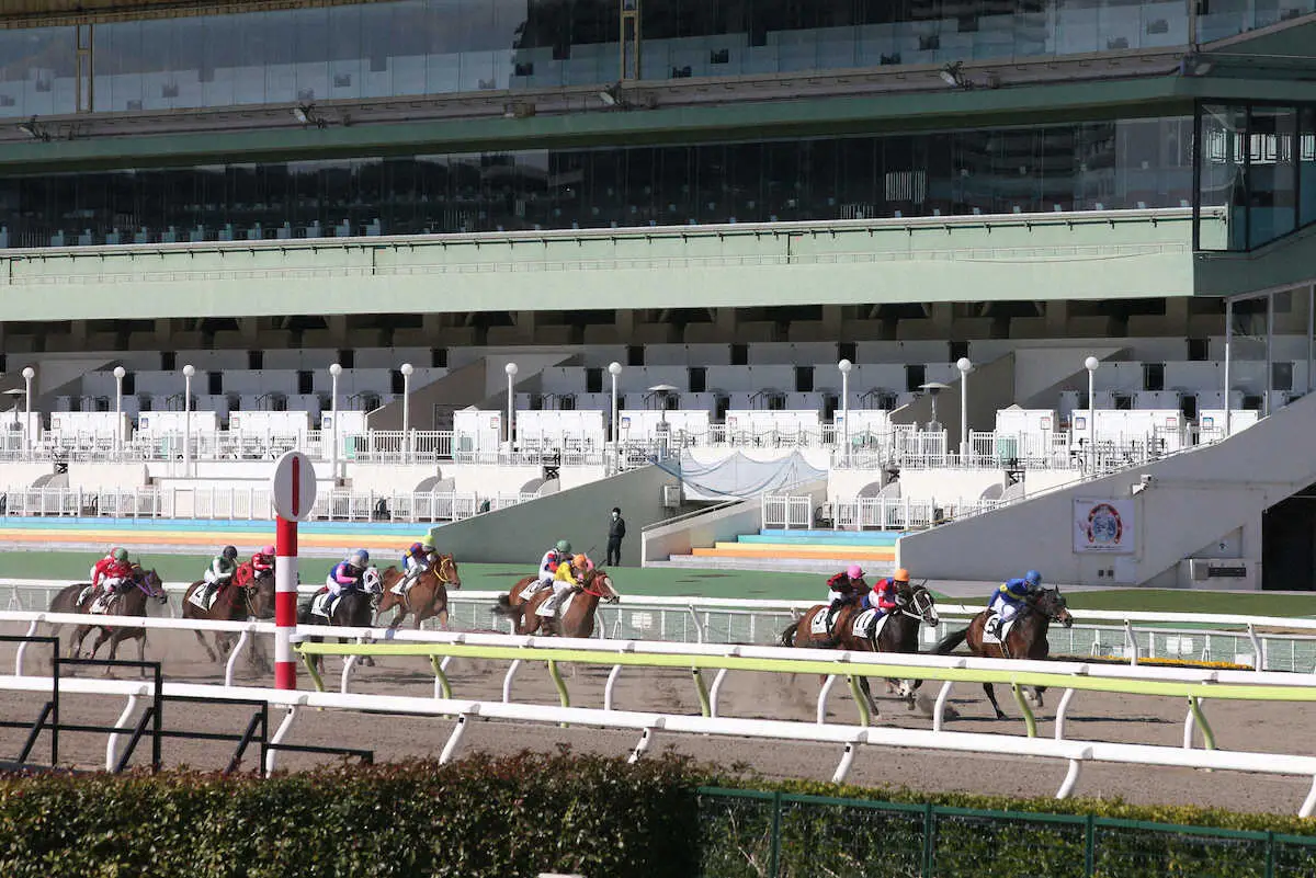 【大井競馬】史上初！2頭立ての競馬　結構ついた？単勝140円、馬連単190円　実況も“一工夫”