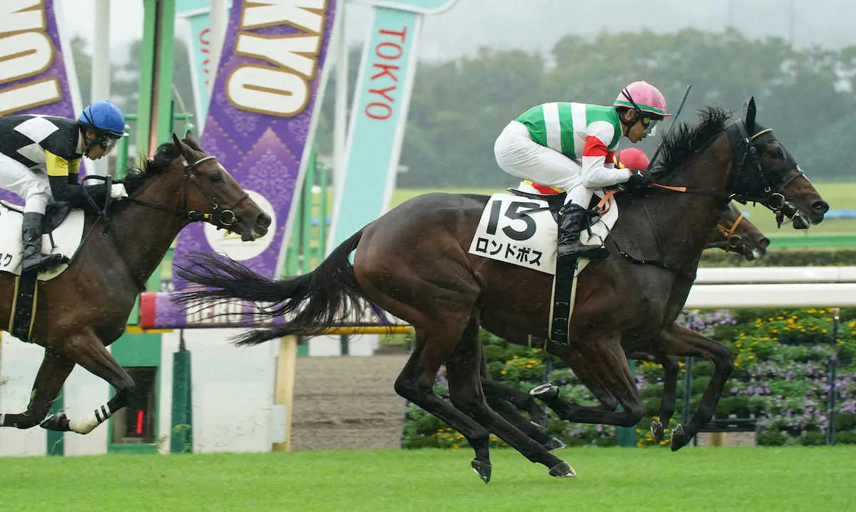 【東京新馬戦】ロンドボス　首差捉えて快勝！戸崎「凄く乗りやすかった」