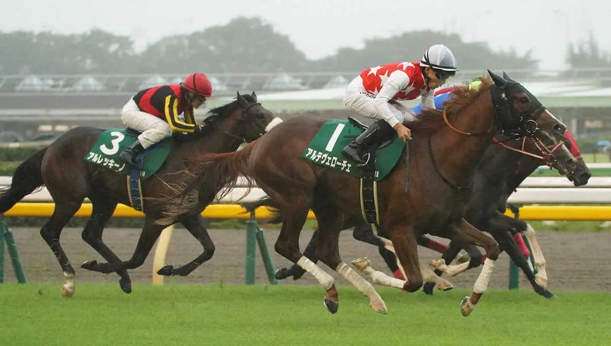 【サウジアラビアRC】1番人気アルレッキーノ不発5着　ルメール「馬場なのか馬の状態か分からない」