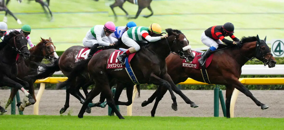 【毎日王冠】ホウオウビスケッツ2着　首差惜敗も手応え　岩田康「次はパンとしてくると思う」