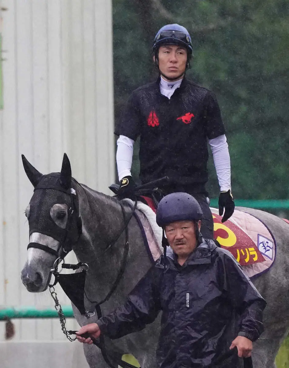 【秋華賞】コガネノソラ　調整過程満足！Wコースで汗、菊沢師「精神面もちょうどいい感じ」