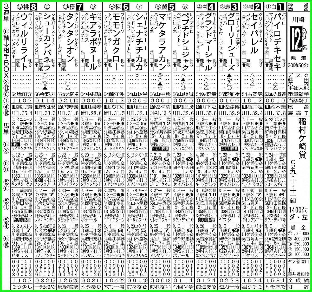 【川崎12R・稲村ケ崎賞】ペプチドシュジャク逆襲