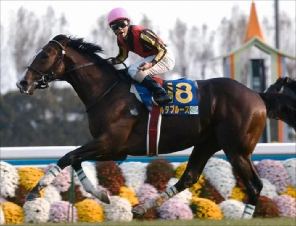 04年菊花賞馬デルタブルースが死ぬ　23歳　06年メルボルンC制覇