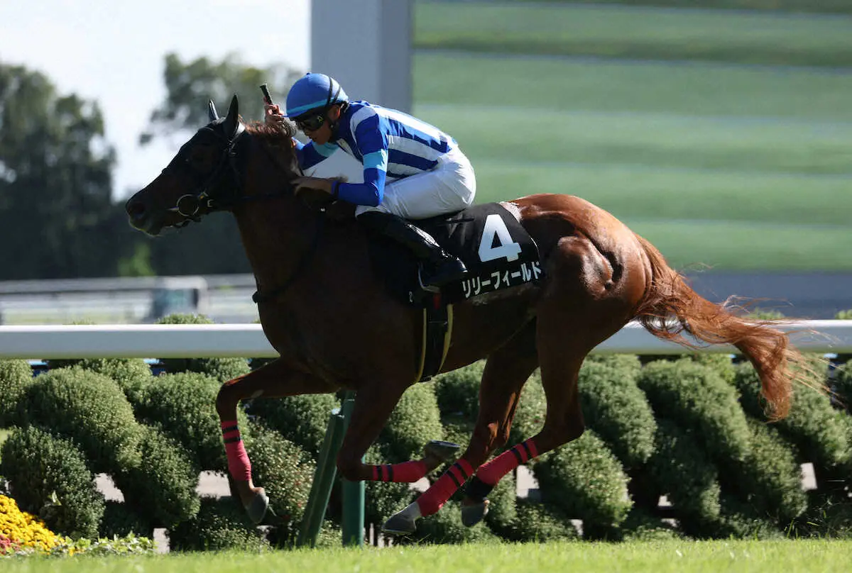 【もみじ賞】リリーフィールド　仕切り直し1勝！岩田望「追っていい反応」