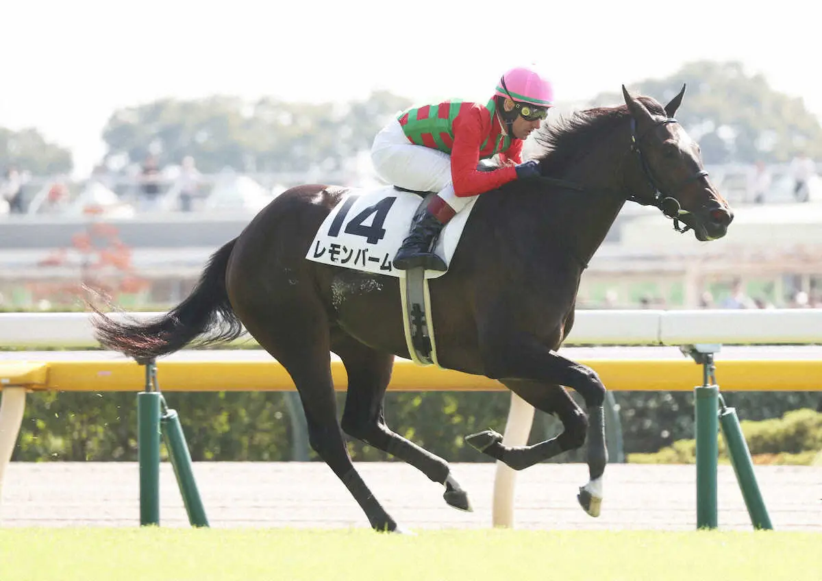 【東京新馬戦】レモンバーム　最速上がりで直線突き抜けた！M・デムーロ「強かった」