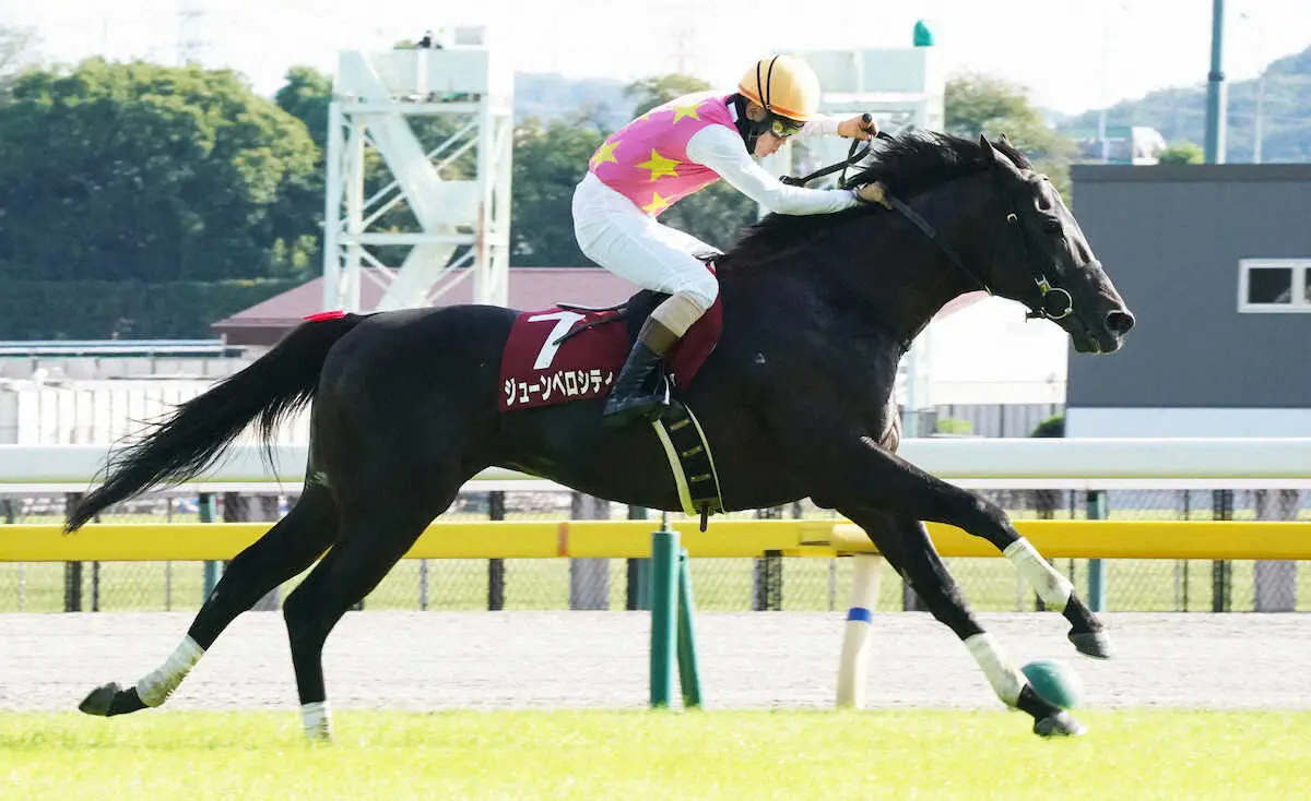 【東京HJ】ジューンベロシティ連勝！重賞4勝目、高田「最後まで走り切ってくれた」