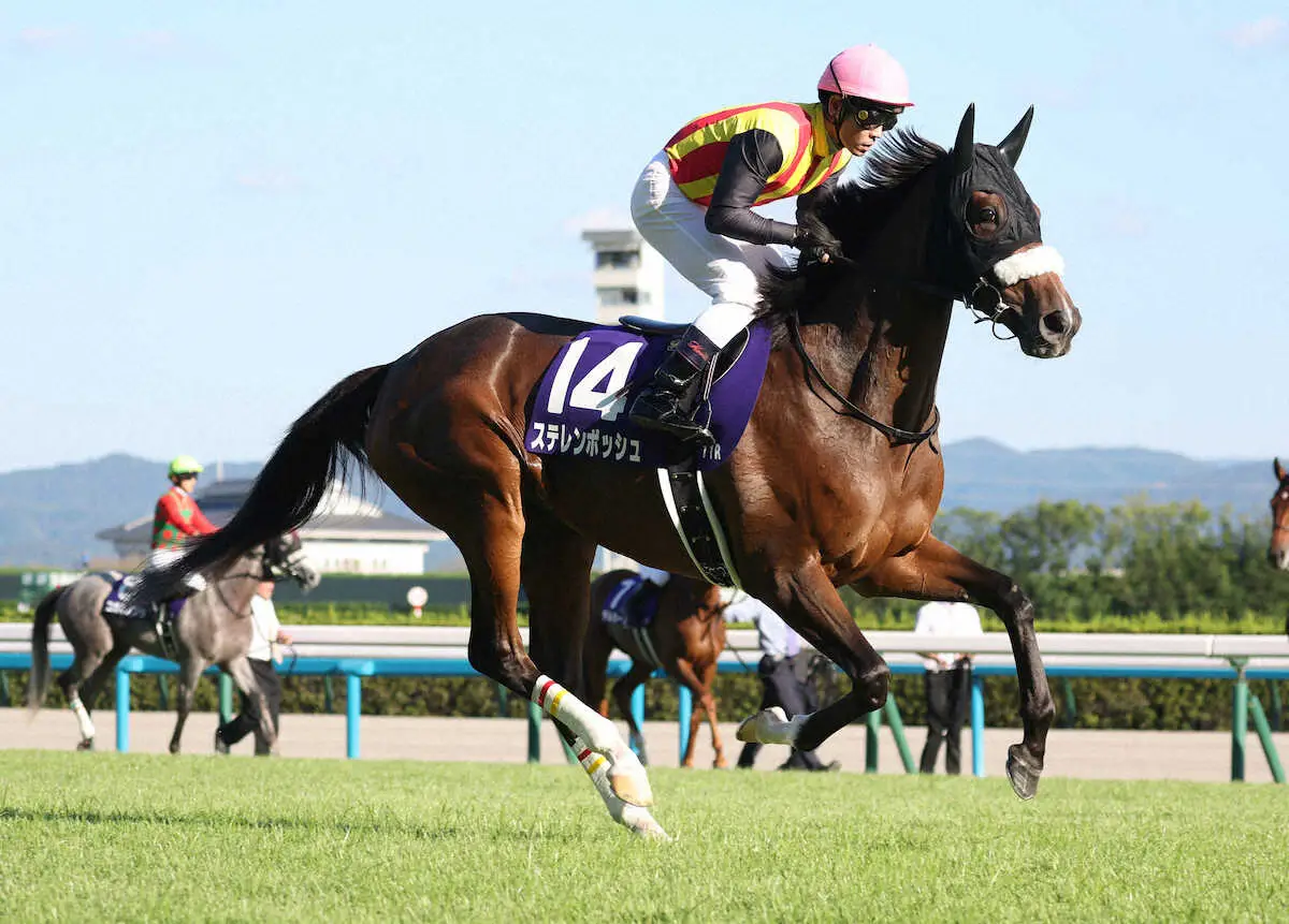 【秋華賞】ステレンボッシュは3着　桜花賞との2冠ならず