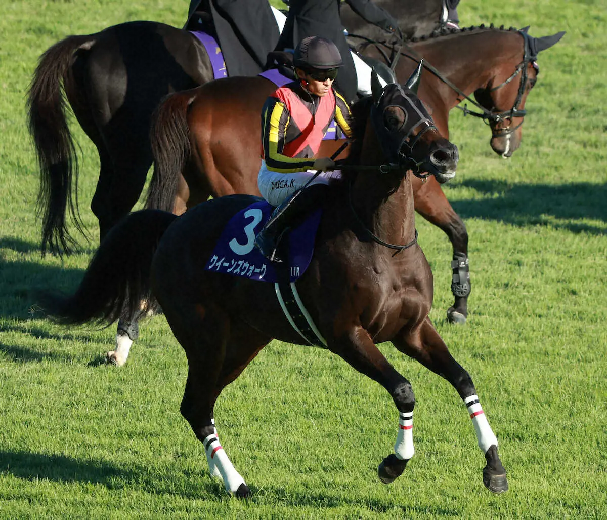 【秋華賞】クイーンズウォーク最下位15着　川田「無事に終わってくれていればいいなと思います」