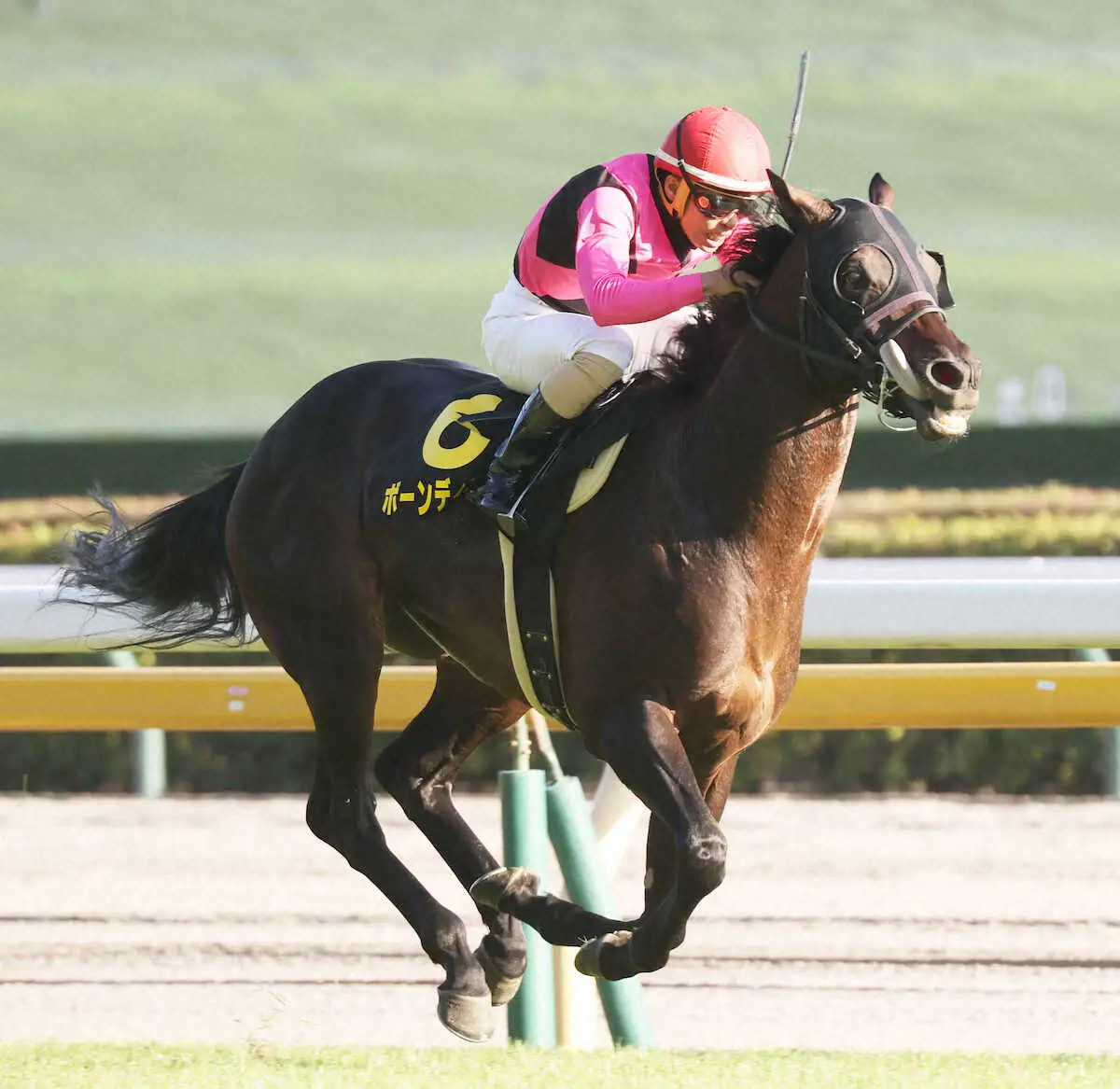 【オクトーバーS】ボーンディスウェイ　素早く抜け出して快勝！木幡巧「やりたい競馬ができた」