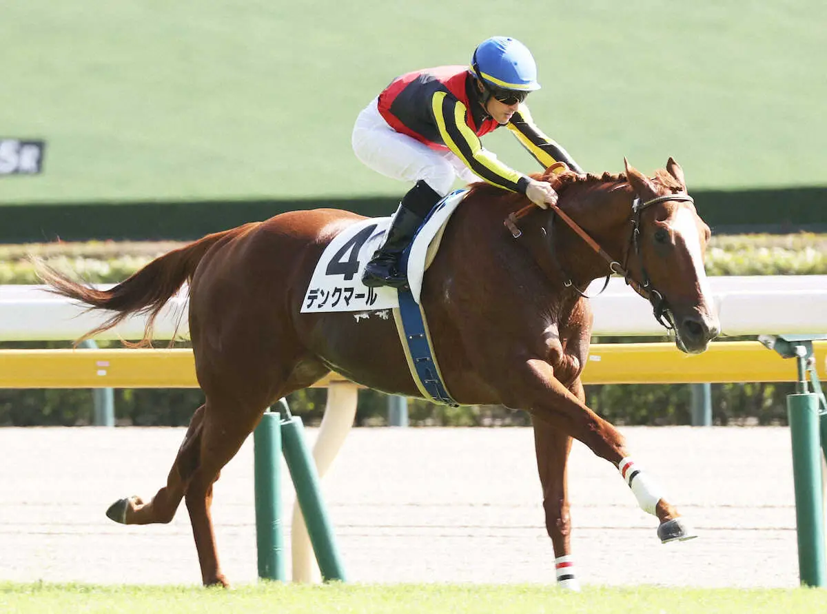 【東京5R新馬】良血デンクマール圧逃　ルメール絶賛「いい脚で加速した」