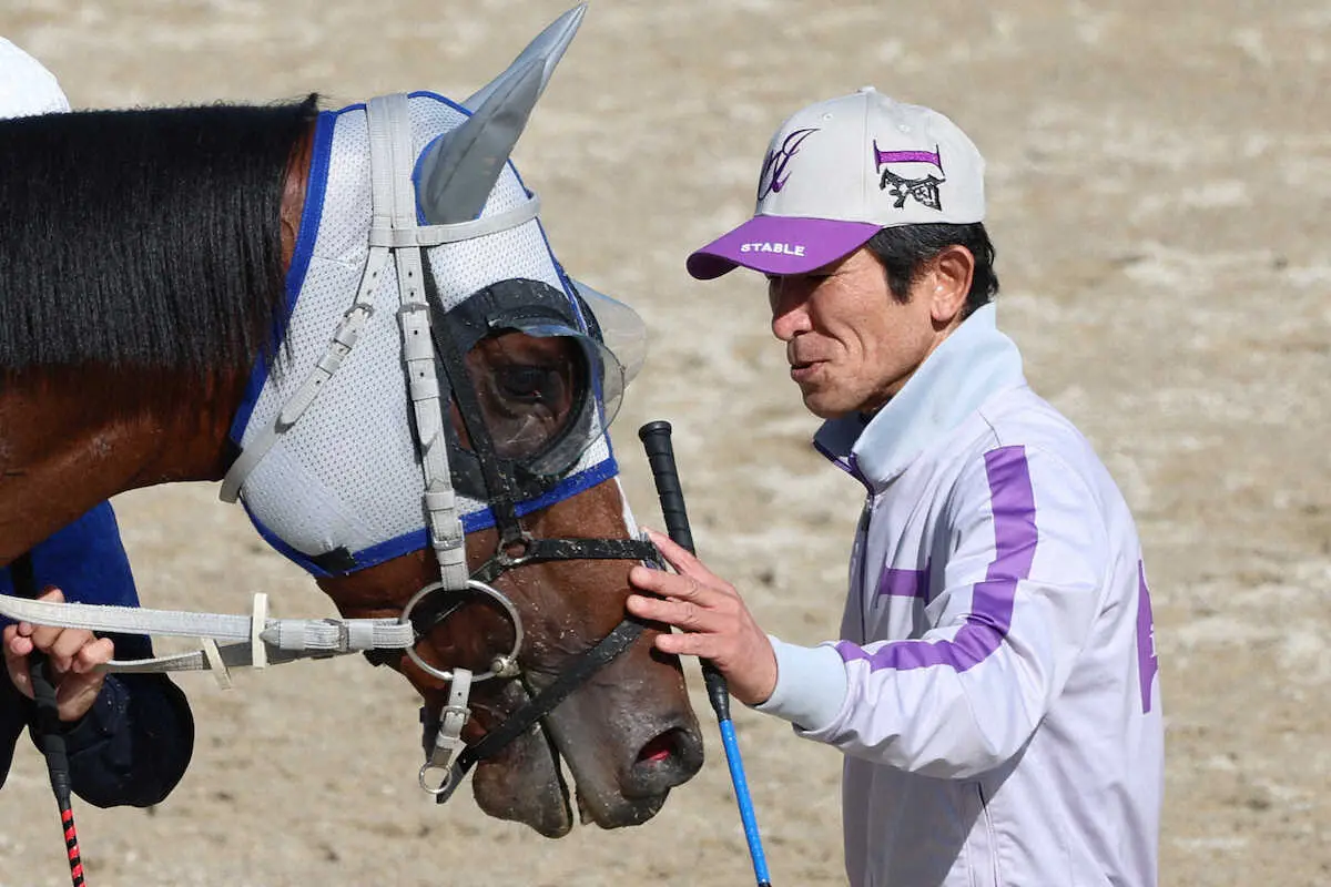 【菊花賞】メイショウタバル　貫禄出てきた　石橋師「精神的にも大人になった」