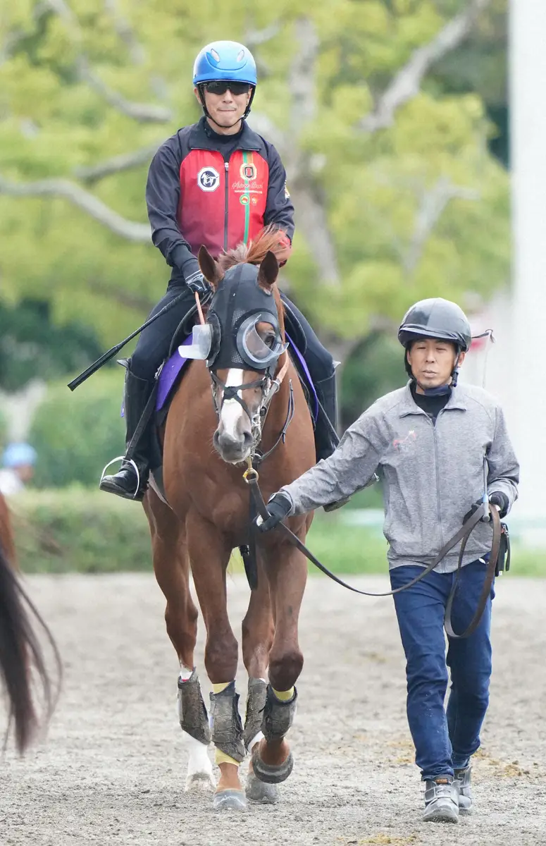 【菊花賞】アーバンシック　前走で重賞初制覇　武井師「いい形で本番へ行ける」