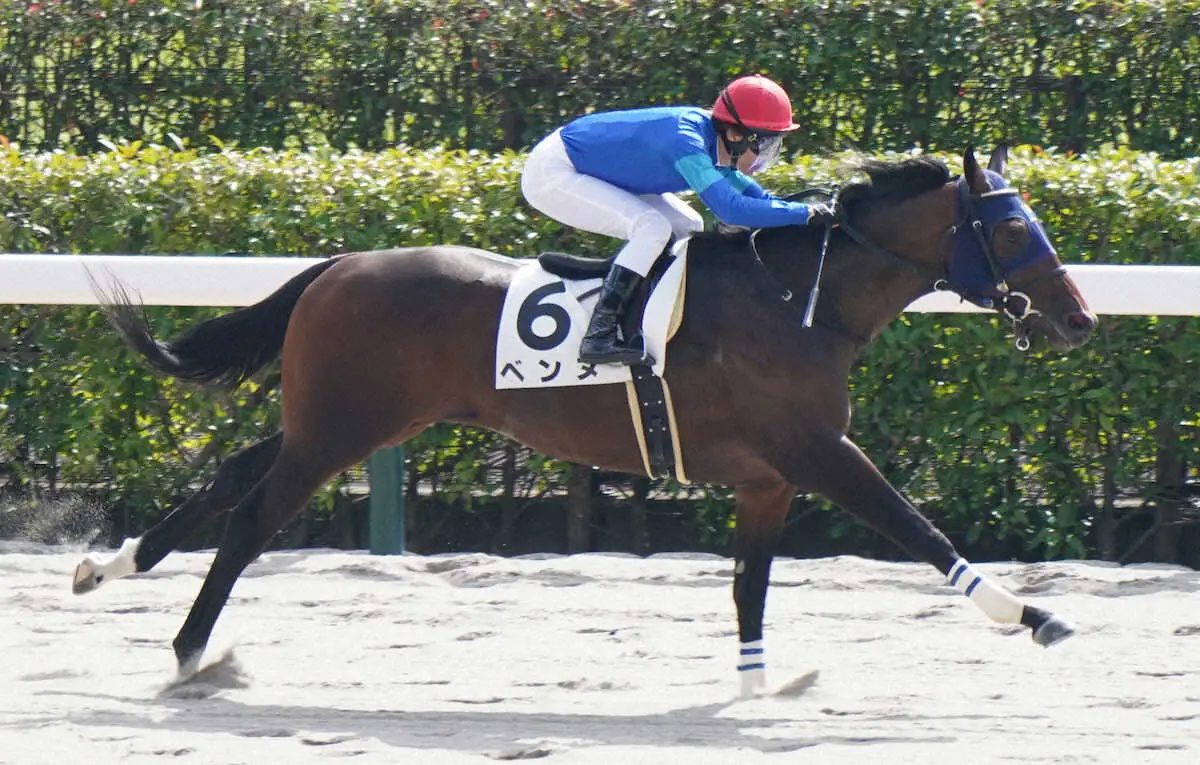 【東京新馬戦】ベンヌ　8馬身突き放し圧勝!　久保田師「この先が楽しみ」