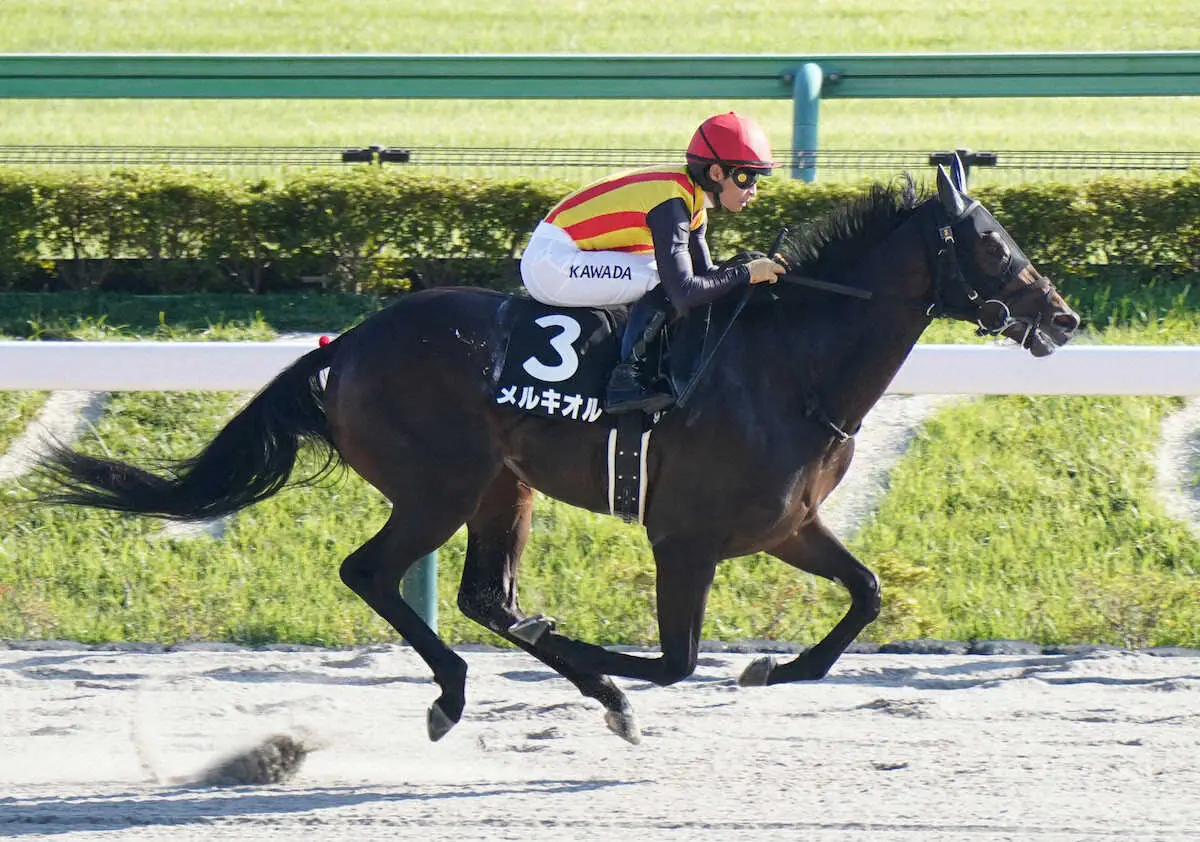 【東京9R・プラタナス賞】メルキオル　砂転向後2連勝　松永幹師「今後が楽しみ」