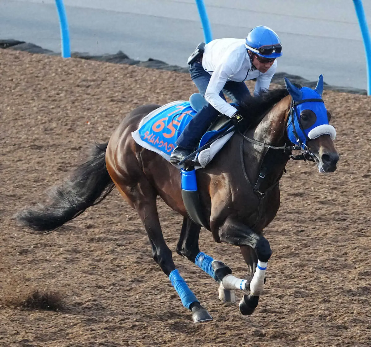 【富士S】タイムトゥヘヴン　柴田善も手応え「前回と同じかちょっと上」