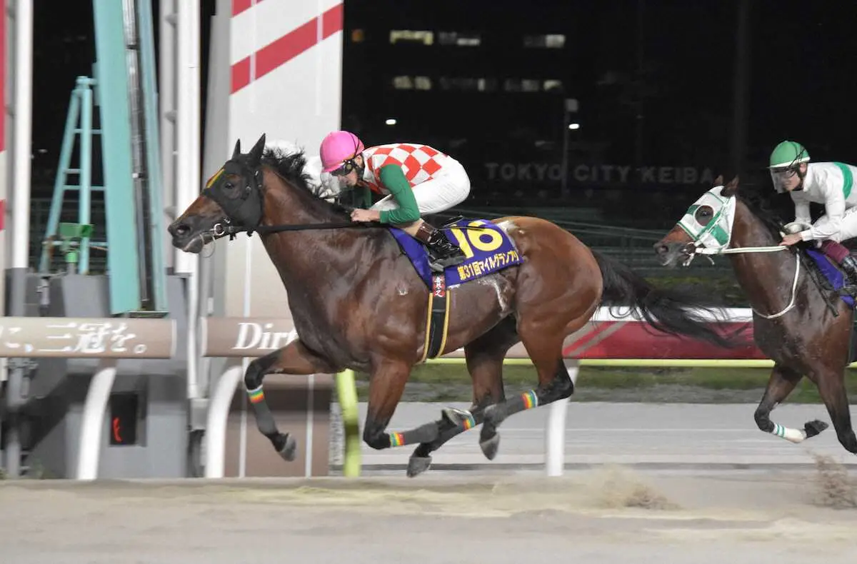 【大井競馬　マイルグランプリ】スマイルウィが連覇　次走はゴールドカップで3連覇に挑戦