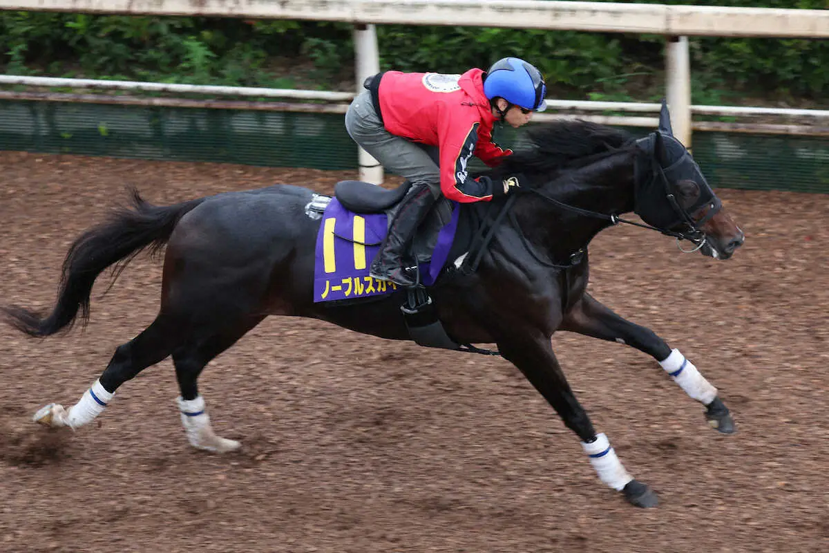 【菊花賞】ノーブルスカイ　人馬のシンクロに努めた　陣営は池添に全権委任