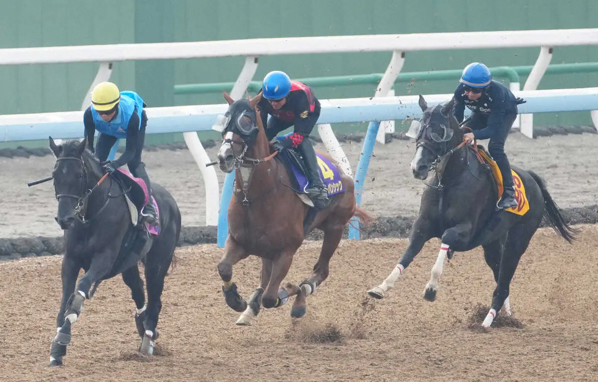 【菊花賞】アーバンシック 状態の良さアピール　武井師「一歩一歩大人になっている」