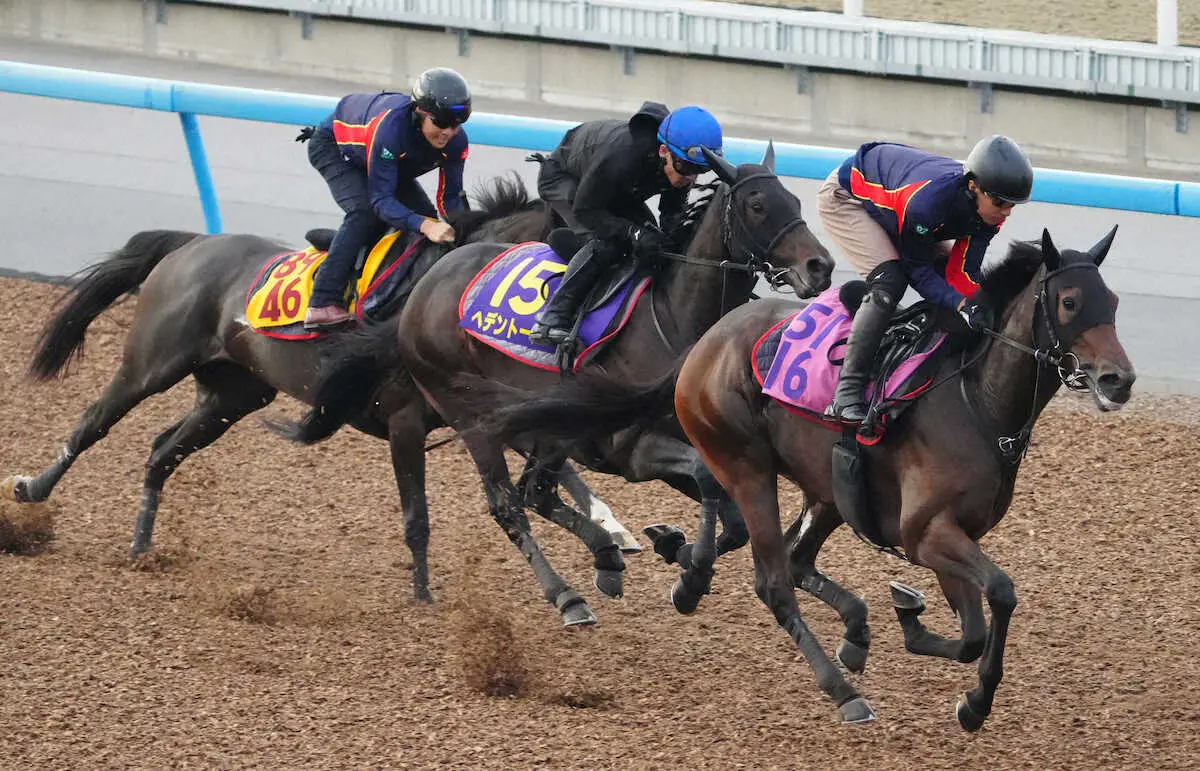 【菊花賞】ヘデントール　大駆け態勢整った　初タッグの戸崎「いつでも突き抜けていく手応え」