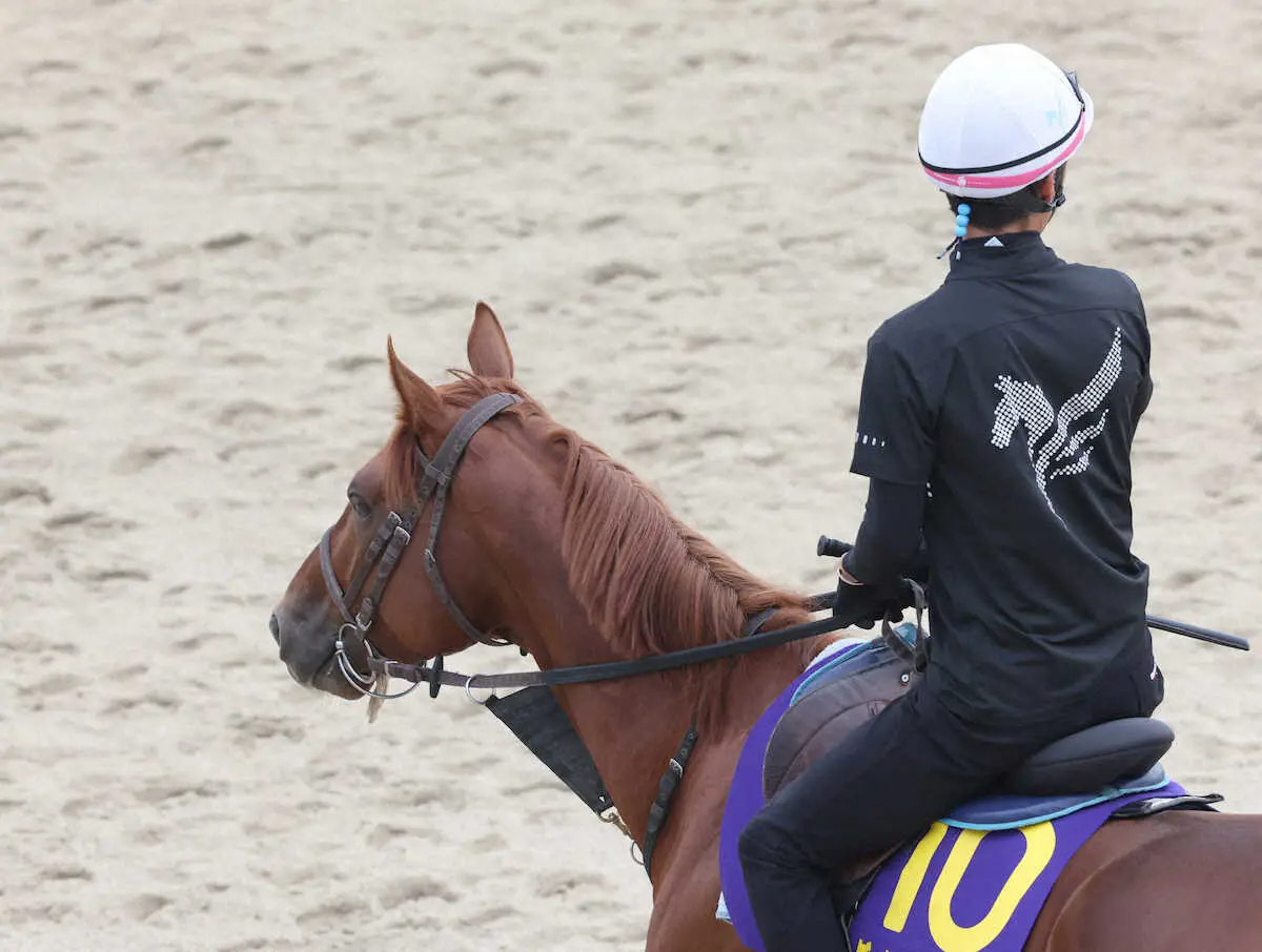 【菊花賞】ダノンデサイル 申し分ない仕上がりも勝ち切れないエピファネイア産駒