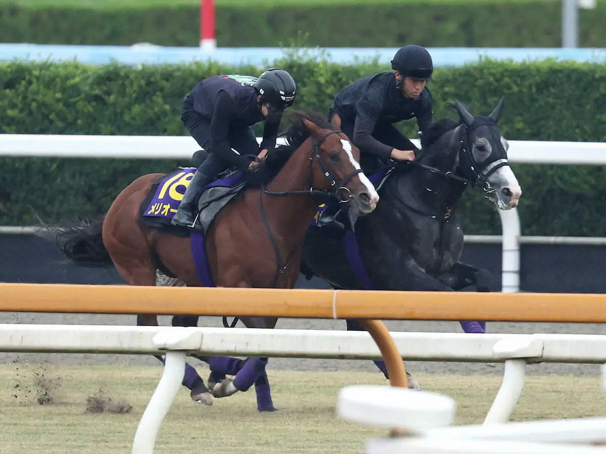 【菊花賞】アドマイヤテラ　折り合い心配なし　陣営「何の心配もなく送り込める」