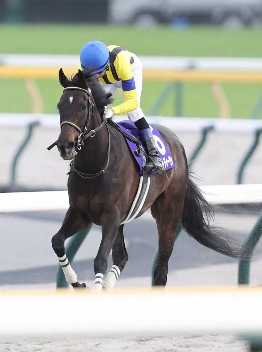 重賞2勝馬マスクトディーヴァ引退　繁殖入り