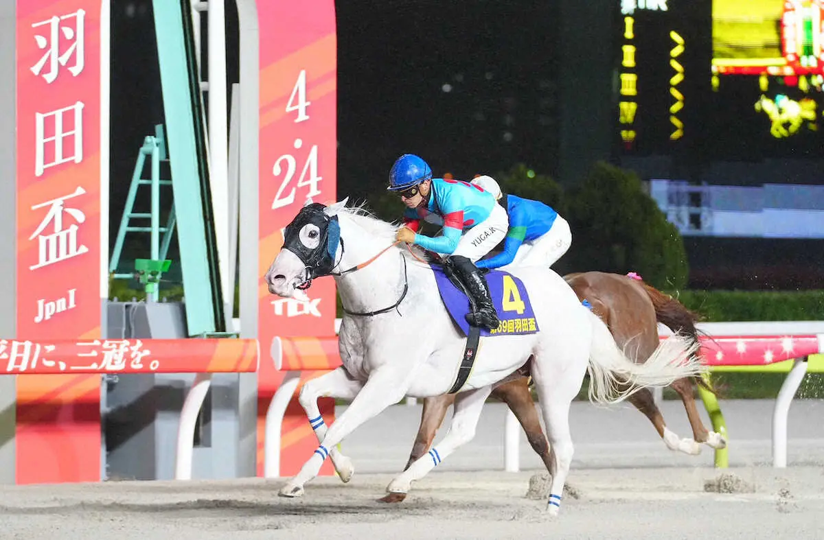 羽田盃を制した白毛馬アマンテビアンコ、左前屈腱炎が判明　