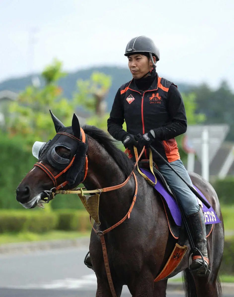 【菊花賞】下り坂で我慢重要…ショウナンラプンタが伸びる！