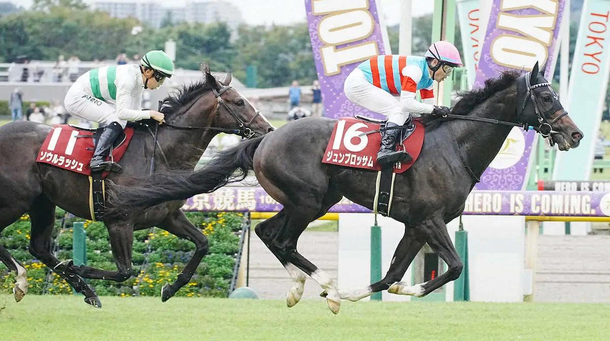 【富士S】1番人気ソウルラッシュ2着　直線伸びるも団野「鈍さがあった」