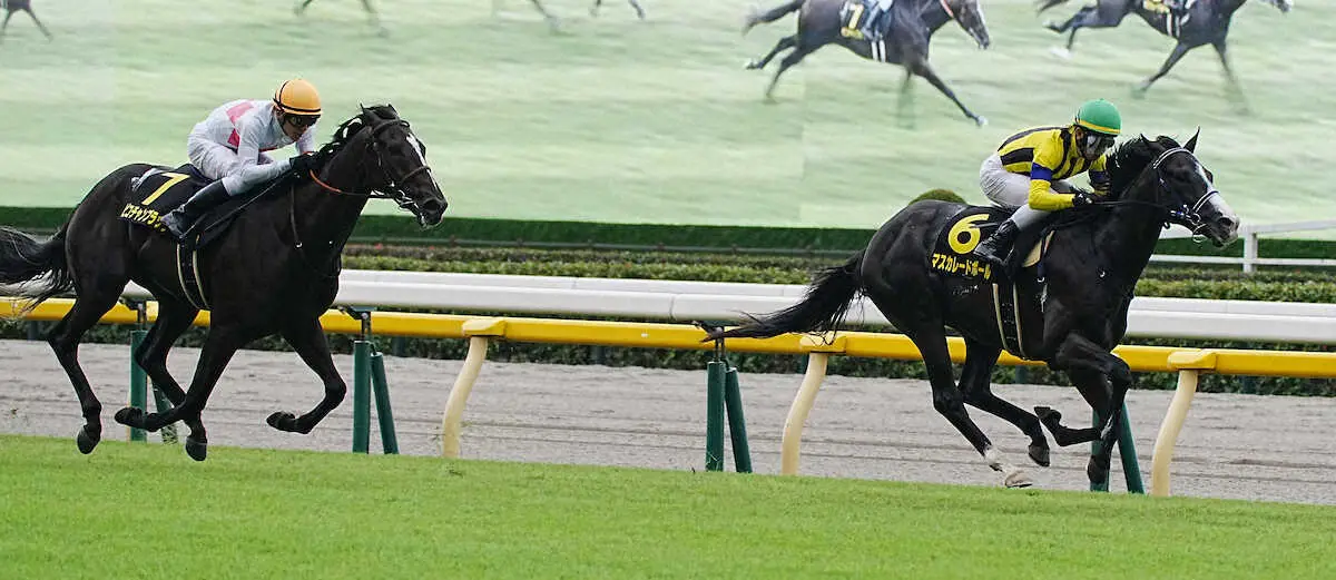 【アイビーS】マスカレードボール　差し切って連勝!　戸崎は期待「能力を感じていた」