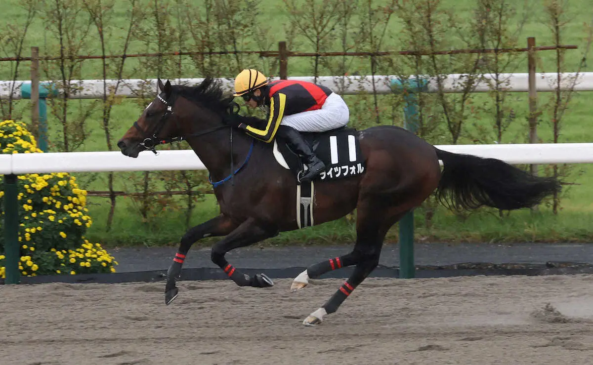 【オータムリーフS】ライツフォル　3馬身差快勝劇　坂井「強い内容でした」