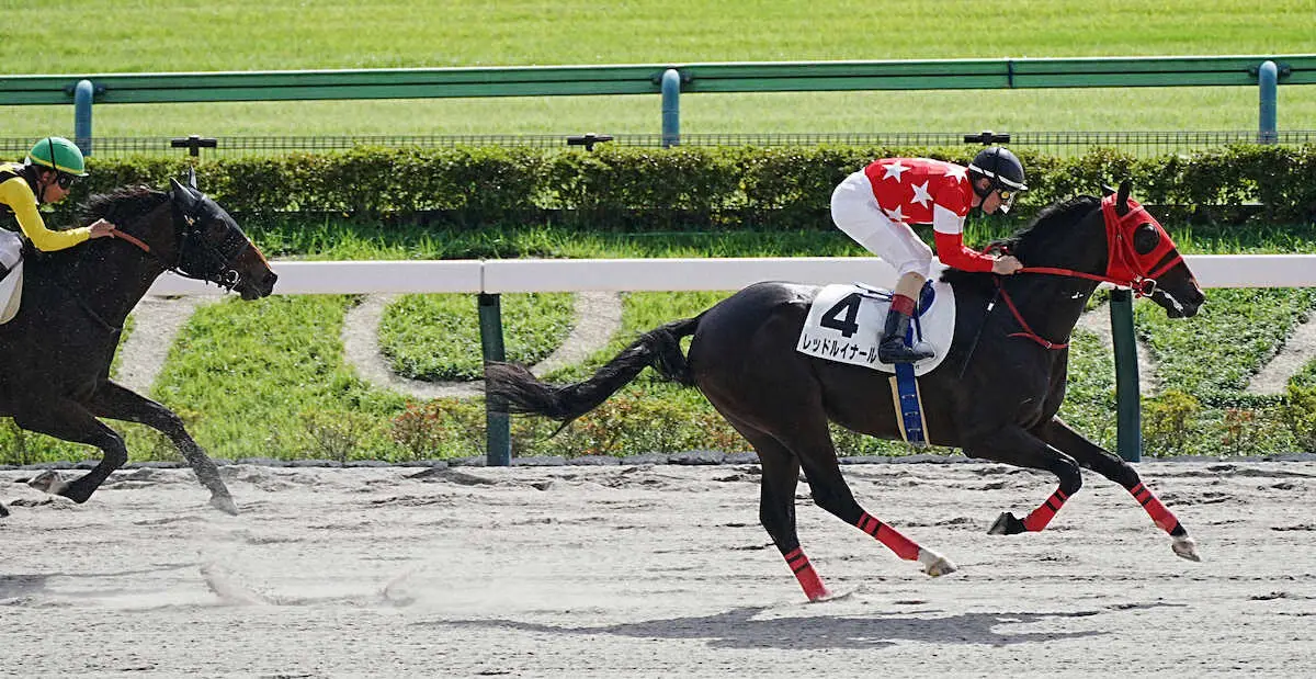 【東京新馬戦】レッドルイナール　上がり最速時計で差し切りV!　ルメール「ダートは合う」