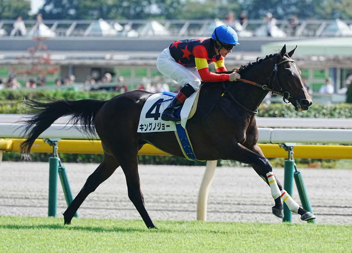 【東京新馬戦】キングノジョー　1番人気応えた!　ルメールも絶賛「いい瞬発力」