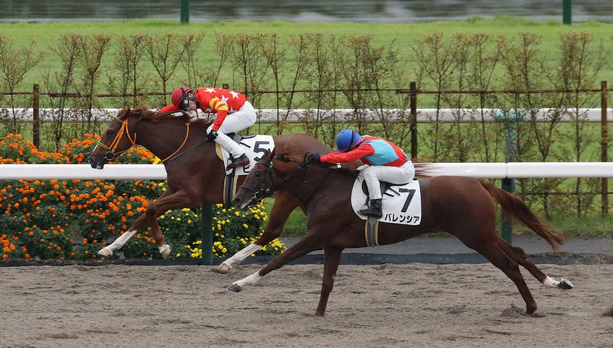 【京都新馬戦】ビーコV　粘って首差振り切る　長岡「いい競馬ができた」