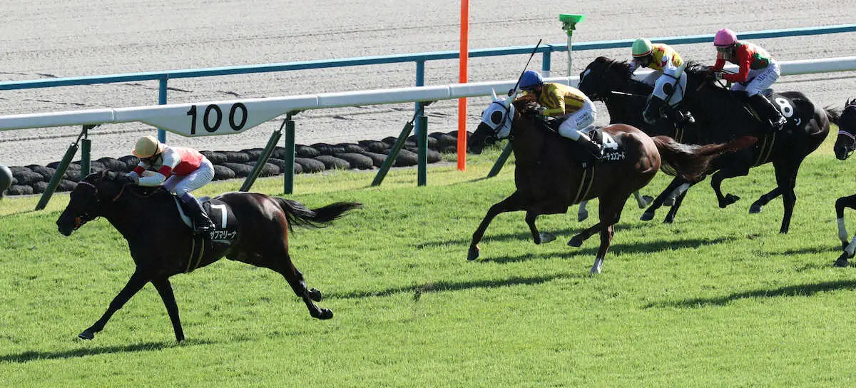 【清滝特別】「追ってからの反応も抜群」武豊サブマリーナ4馬身差快勝！