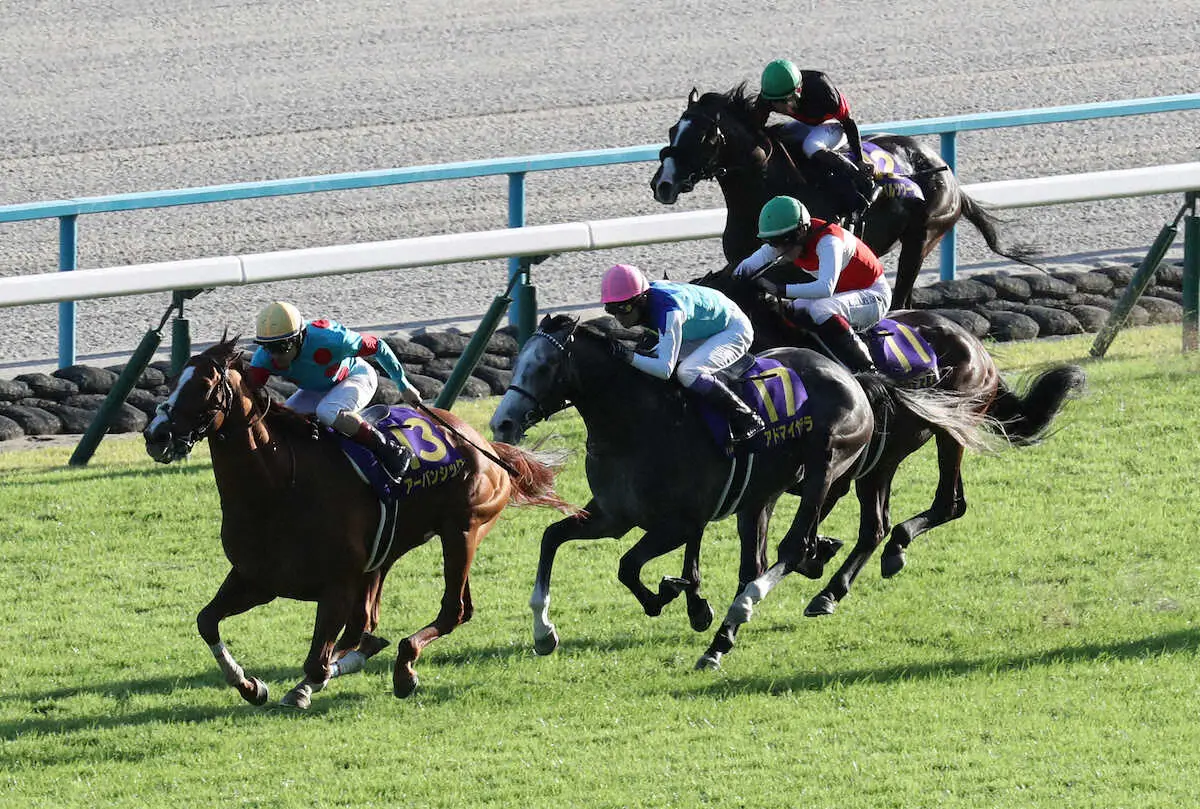 【菊花賞】池江泰郎氏　アーバンシックとダノンデサイル　明暗を分けた勝負どころの位置取りの差