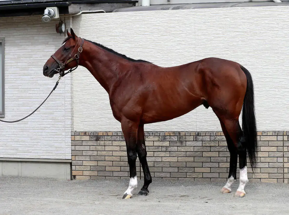 【天皇賞・秋】田井「天皇賞・秋制覇はもう目の前」　“天性のシャープさ”際立つ馬体の持ち主は？