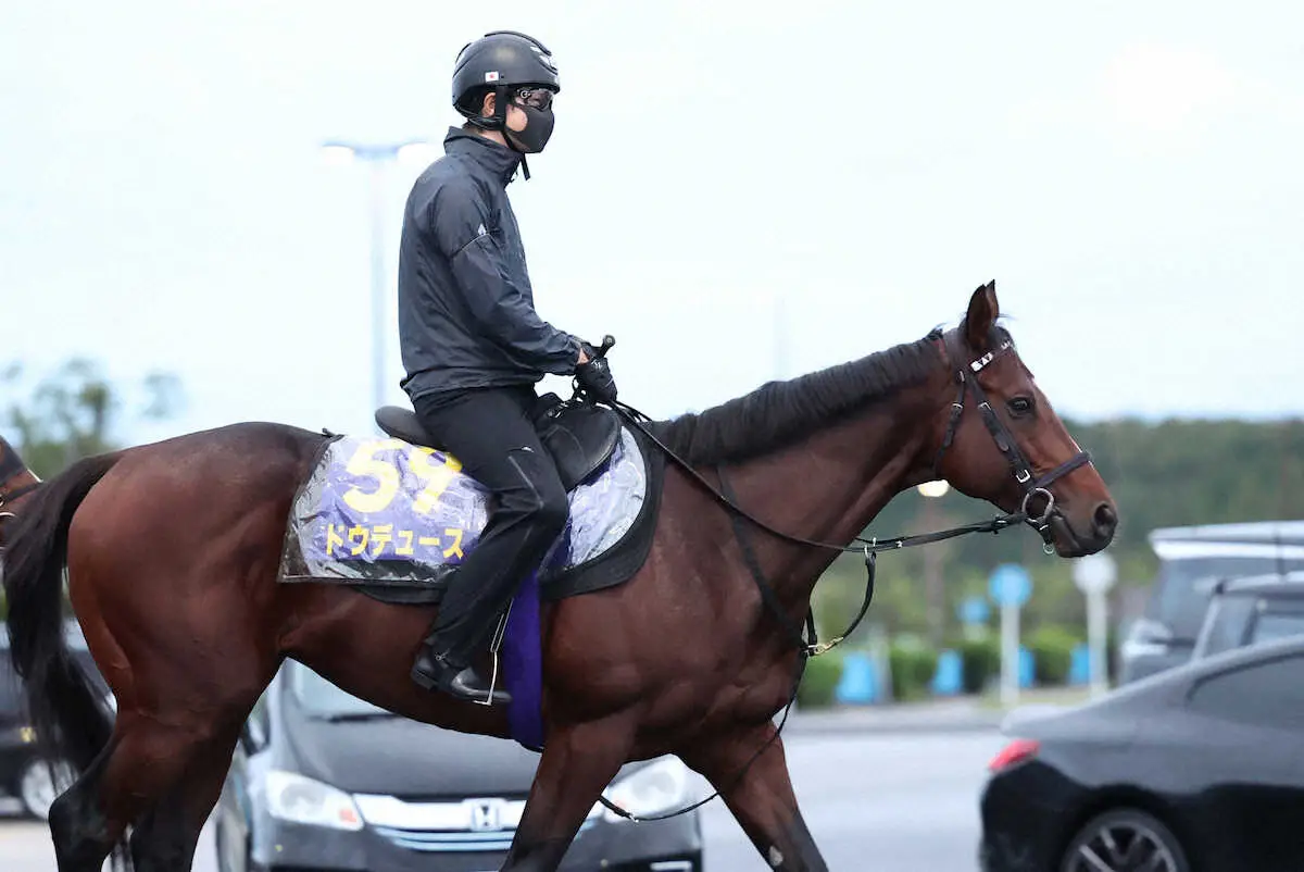 【天皇賞・秋】ドウデュース　叩いて良くなるタフな馬