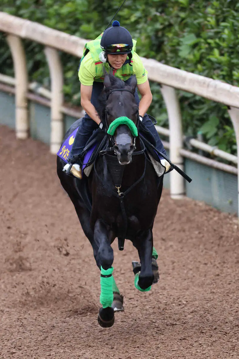 【天皇賞・秋】ジャスティンパレス　坂路単走で軽快駆け、杉山晴師「休み明け感はない」