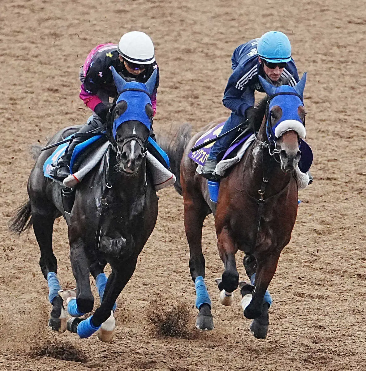 【天皇賞・秋】キングズパレス　鋭く伸びて1馬身先着、シュタルケ「ゴール後もパワー感じた」