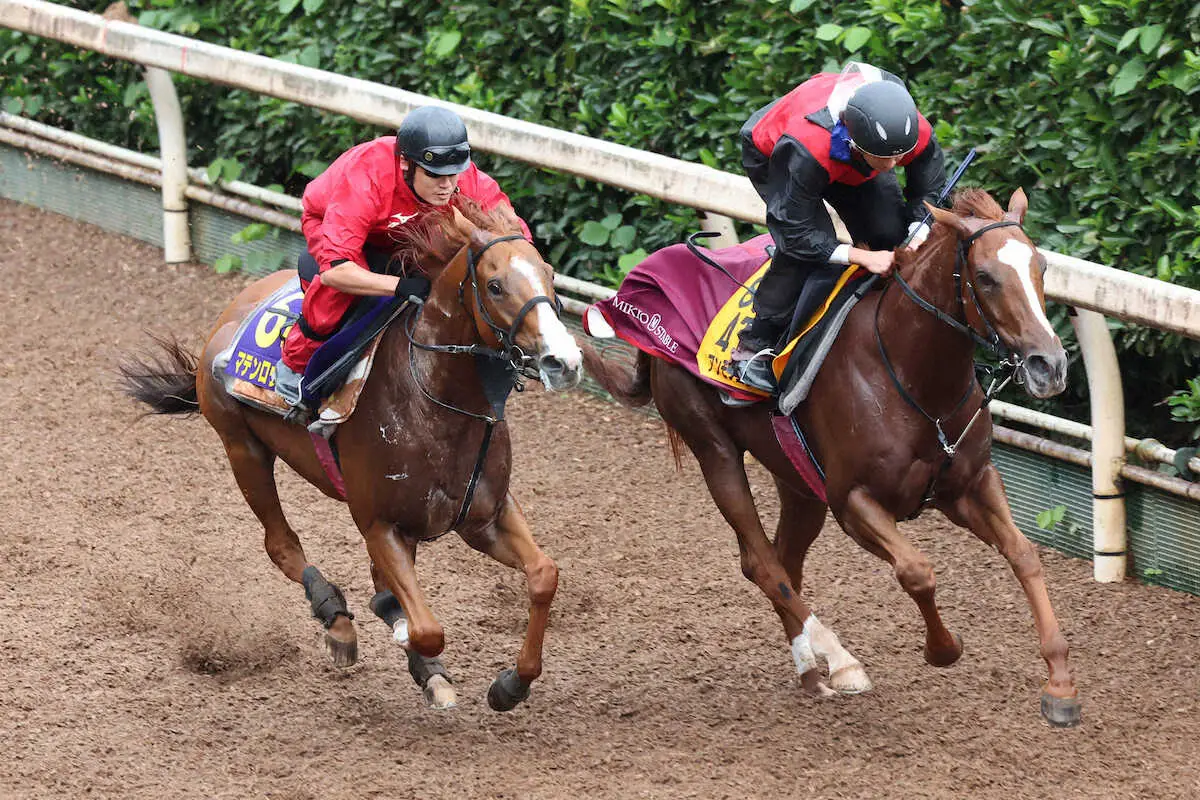 【天皇賞・秋】マテンロウスカイ　併せ馬で順調好時計！松永幹師「できれば内枠がいいね」