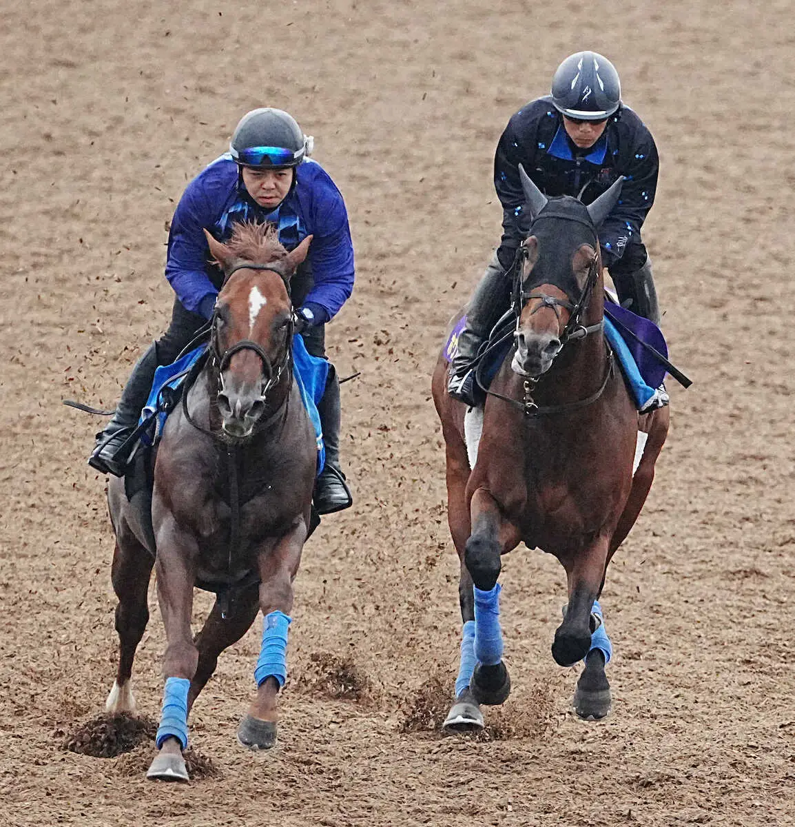 【天皇賞・秋】ホウオウビスケッツ　内から抜群に切れた、奥村武師「遅生まれでも追い付いてきた」