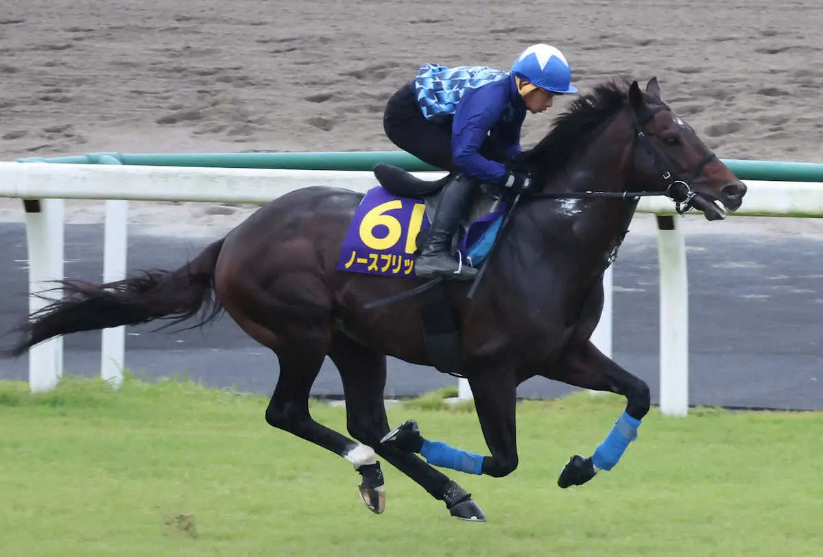 【天皇賞・秋】ノースブリッジ　岩田康を背にノビノビ「精神面も落ち着いている」