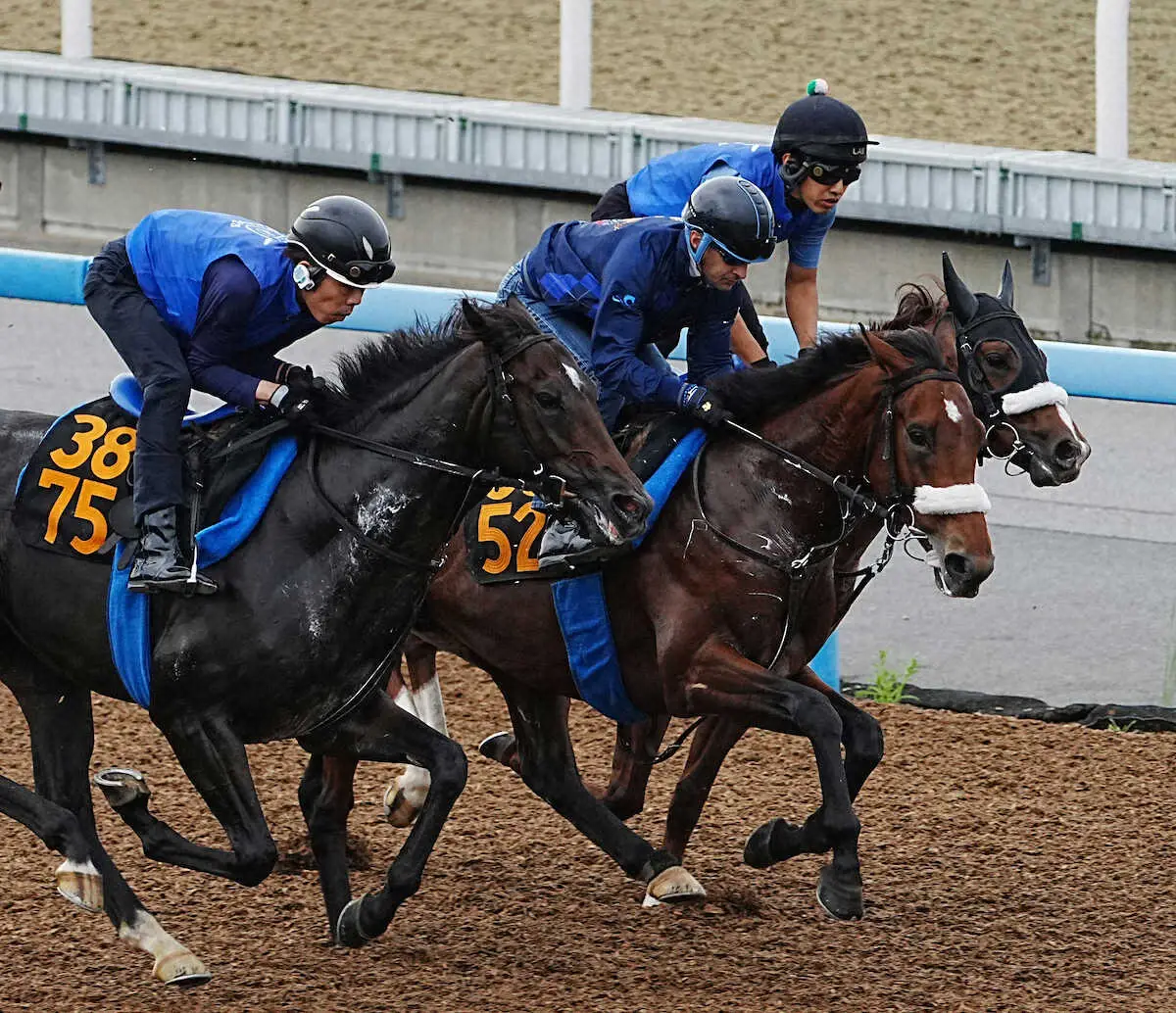 【東京新馬戦】アーモンドアイの初子アロンズロッド　軽快に馬なりで併入！国枝師「牡馬らしい格好に」