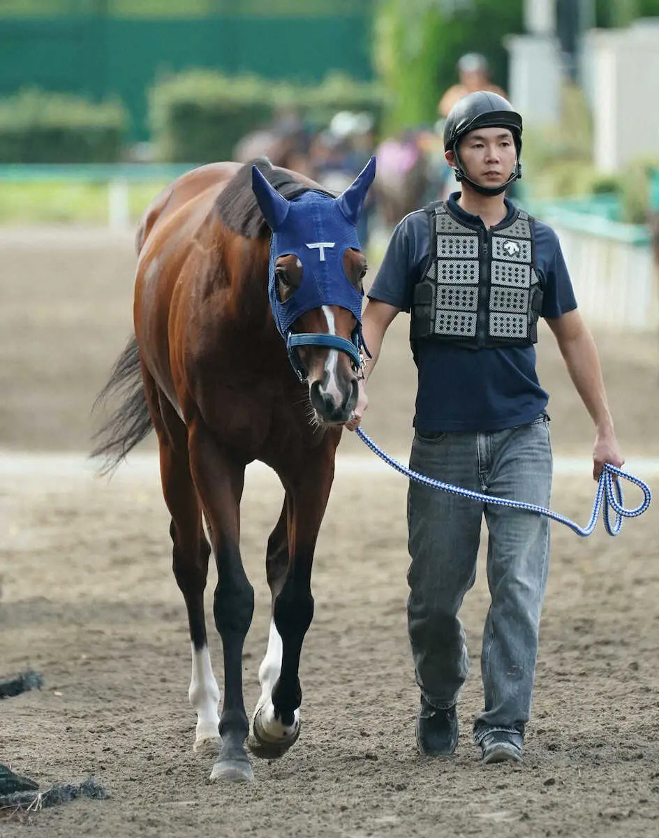 【天皇賞・秋】（6）ソールオリエンス　いい位置取れる、陣営「偶数枠もいいですね」