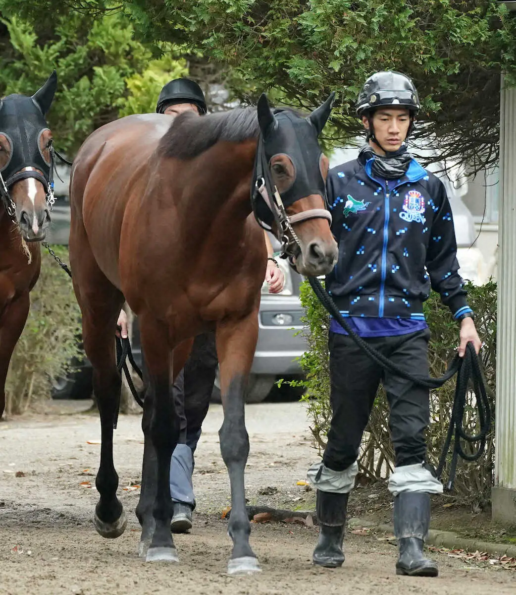 【天皇賞・秋】（9）ホウオウビスケッツ　できればもっと内…奥村武師「1番か2番が欲しかった」