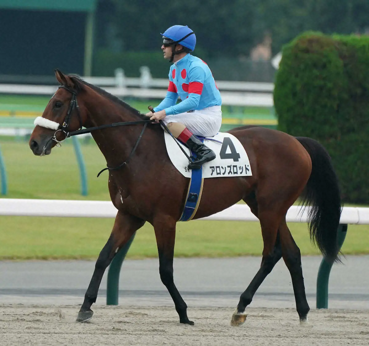 【東京5R新馬】アーモンドアイ初子アロンズロッド　4着で初陣飾れず